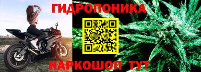 скорость Новодвинск