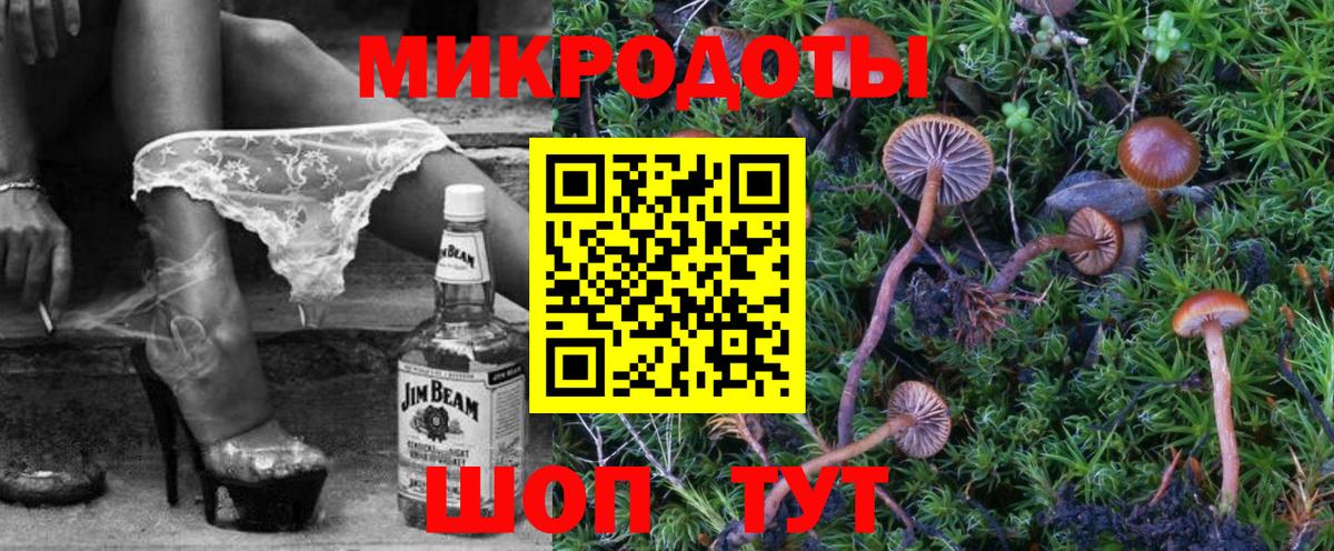 Сорочинск  Псилоцибиновые грибы Cubensis  Вход с VPN 